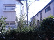 eX̐A